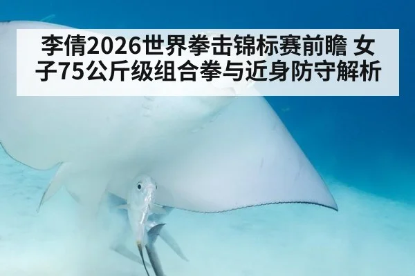 李倩2026世界拳击锦标赛前瞻 女子75公斤级组合拳与近身防守解析